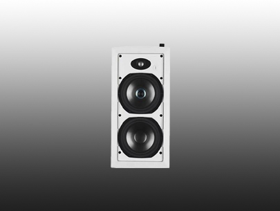 TANNOY  iW 62TDC