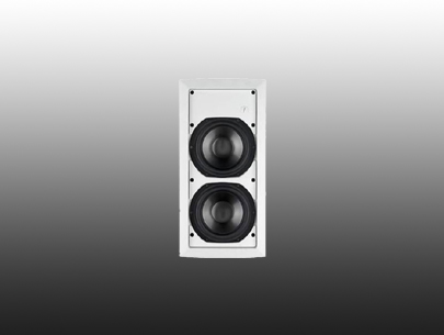 TANNOY iW 62TS